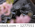 tile, onigawara, cherry blossom 1277551