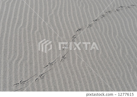 wind-wrought pattern on the sands, wind patterns on the sand, footmark 1277615