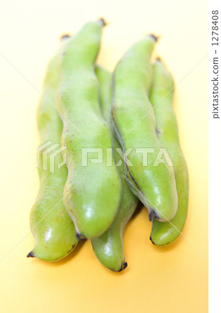 Spring beans with spinach. 1278408
