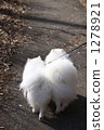 Walk close to each other 1278921