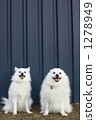 Memorial photography 1278949