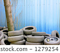tire, nature, natural 1279254