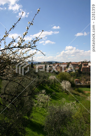 Spring in Siena Spring in Siena 1281359