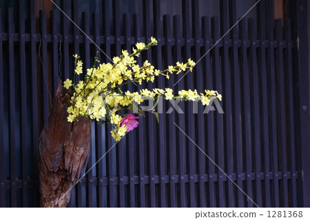 牆壁 牆 花朵 1281368