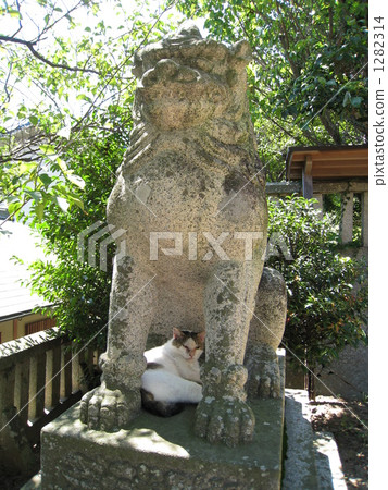 Guardian dog and cat in Onomichi 1282314