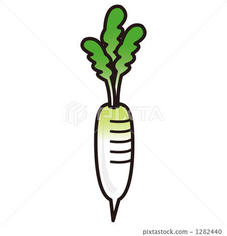 日本蘿蔔 1282440