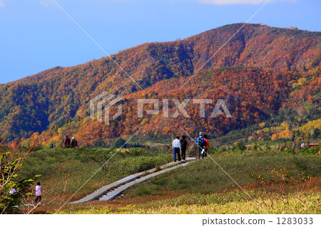 Kurobe Tateyama Alpine Route Yabagahara Prairie 1283033