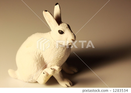 an egg, one (bird), white background 1283534