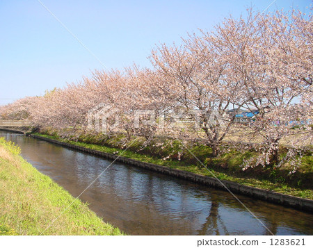 Spring brook 1283621