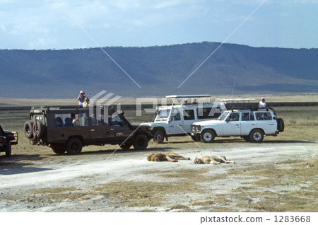 safari car, tanzania, the united republic of tanzania 1283668