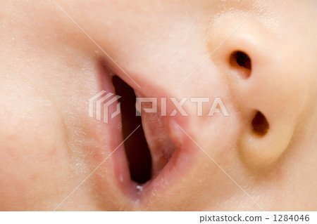 寶寶的牙齦 1284046