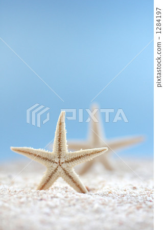 海星 沙子 多沙的 1284197