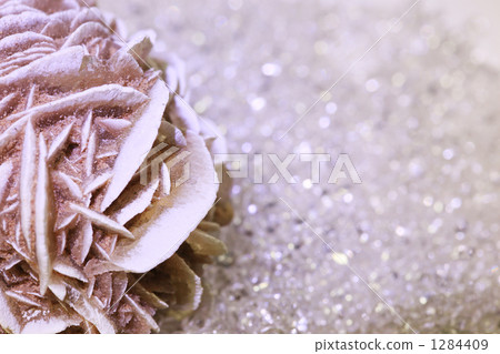 Rose of the desert Rose of the desert 1284409