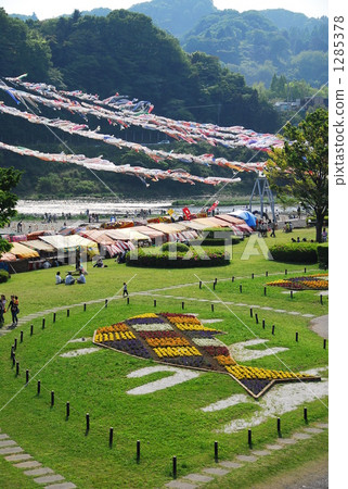 飄揚的旗幡 相模原市 五月 1285378