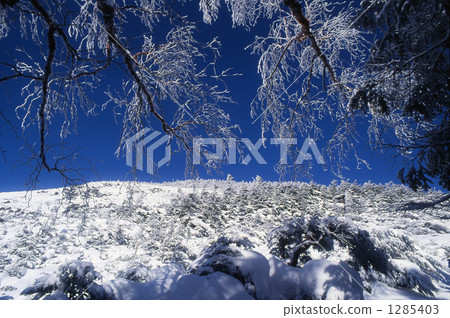 Rake ice of Yatsugatake Rake ice of Yatsugatake 1285403