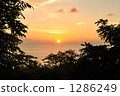 sunset, leaf, leaves 1286249