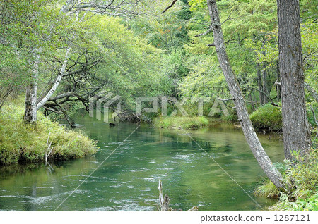 Nikko Senjogahara Nikko Senjogahara 1287121