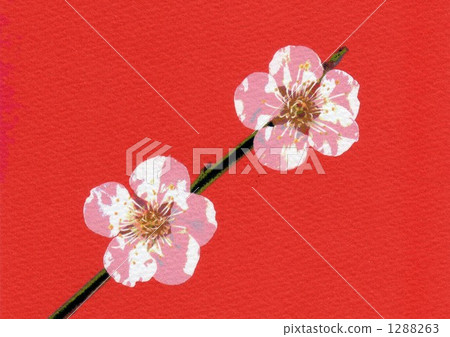 白梅花 市瑞卡加 1288263