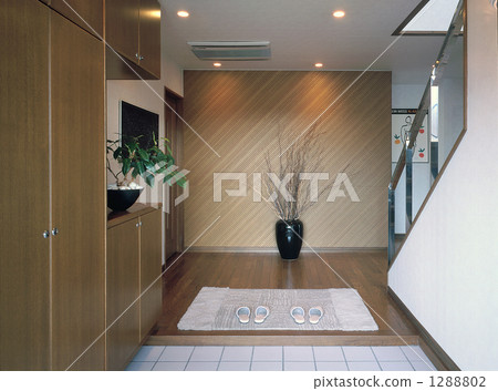 Wide entrance hall 1288802