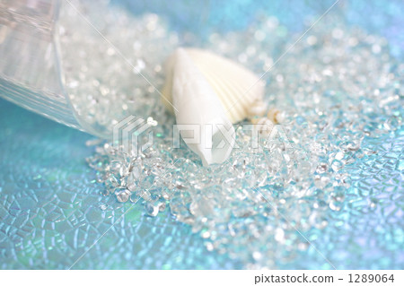 shell, sea-shell, seashell 1289064