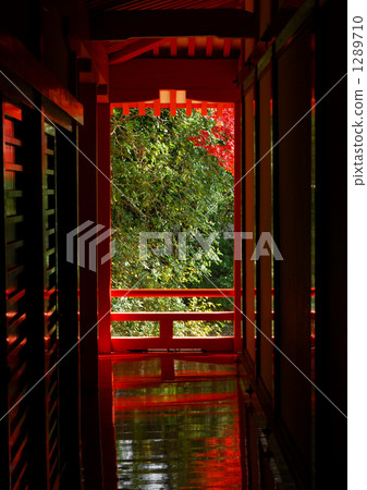 未知的共鳴 1289710