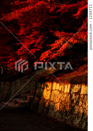 樓梯要隆起 1289711