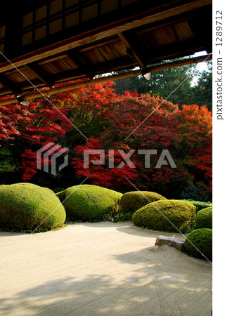 屋簷 鴨舌帽 帽子或遮陽帽沿 1289712