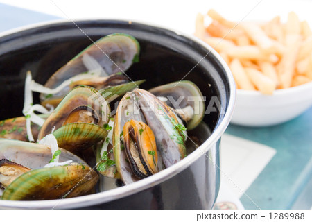 貽貝 淡菜 紫貽貝 1289988
