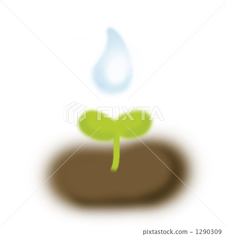 sprout, Drop Of Water, drop 1290309