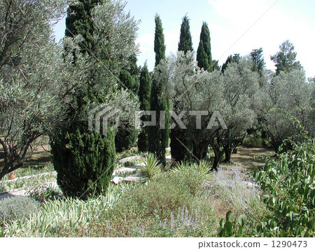 Scenery of South Buddha 1 1290473