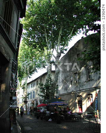 南佛2景觀 1290474