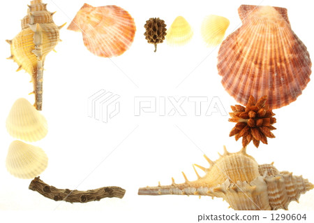 Coastal image 1290604