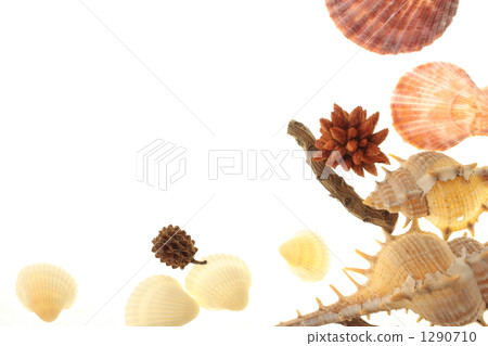 沙灘圖像 1290710