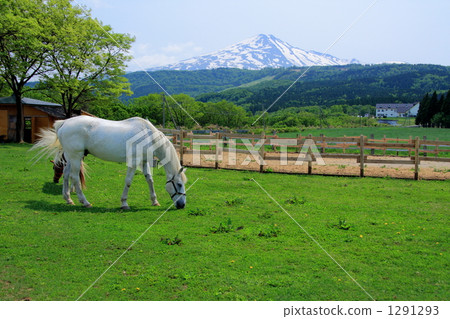 白馬和Chokaiyama 1291293