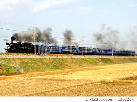 SL春浣熊等級 SL春浣熊等級 1292264