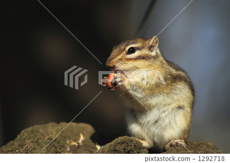 Let us eat Let us eat 1292718