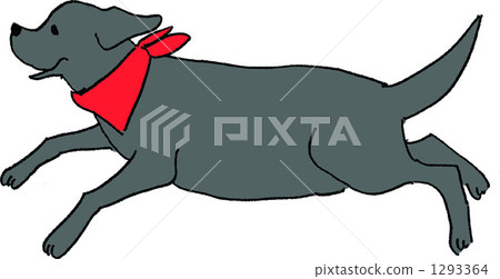 Run Labrador 1293364