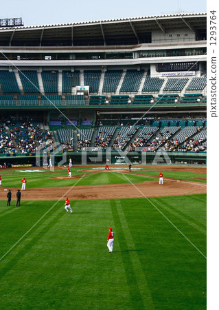 Skymark體育場 Skymark體育場 1293764