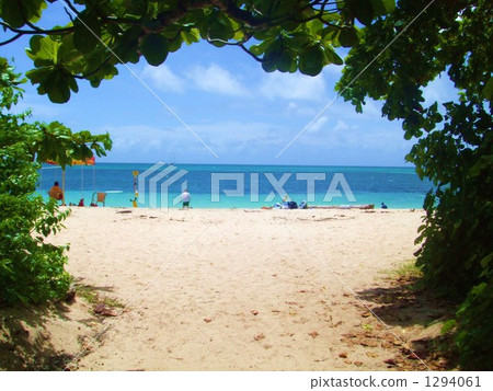 綠島 綠島 1294061