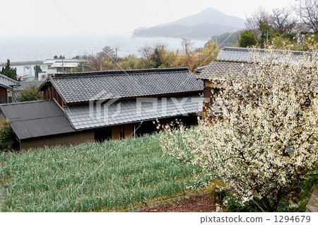 春天來到瀨戶 1294679