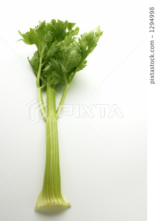 celery  1294998
