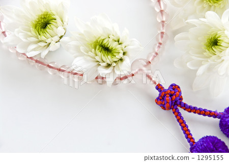 與白色chrysanthem的小珠 1295155