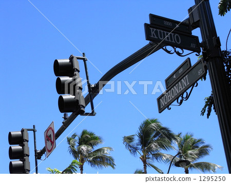 traffic light, coconut palm, august 1295250