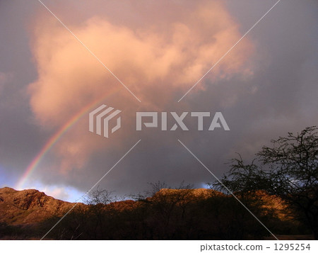 Rainbow Rainbow 1295254