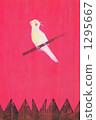 birdie, small bird, bird 1295667