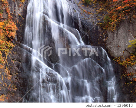 秋天秋天的秋天葉子 1296013