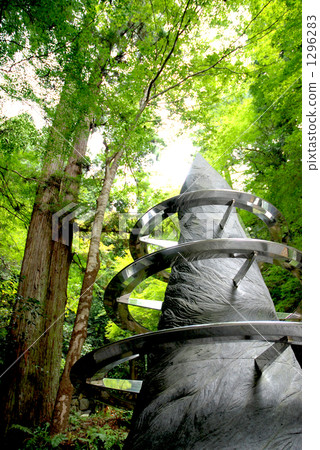 Towards the sky 1296283