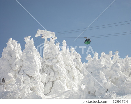 Treehouse in fine weather 1296724