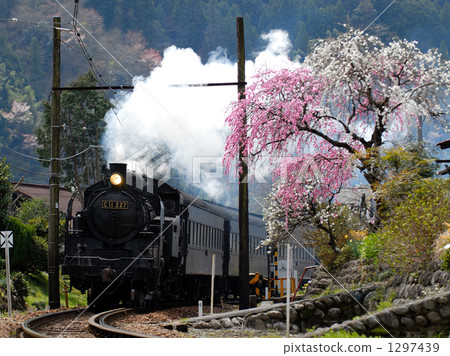 Hualien and steam locomotives 1297439