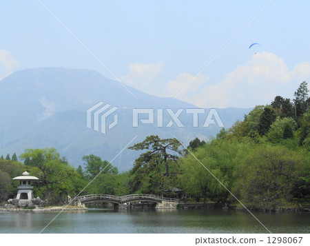 三島池塘的新鮮綠色 1298067